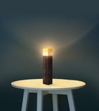 Minecraft Light Up Torch