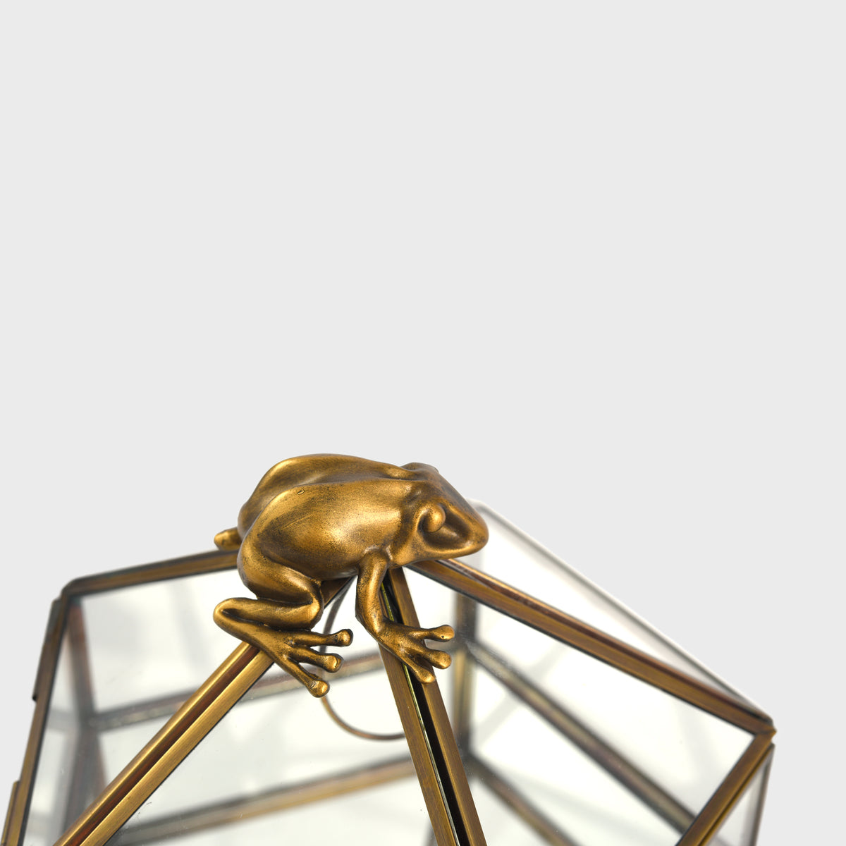 Harry Potter Gold Chocolate Frog Jewelry Box Storage Case Organizer