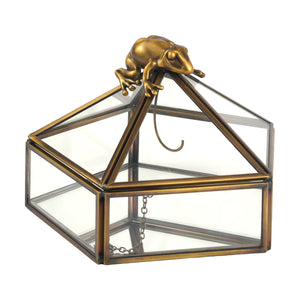 Harry Potter Gold Chocolate Frog Jewelry Box Storage Case Organizer